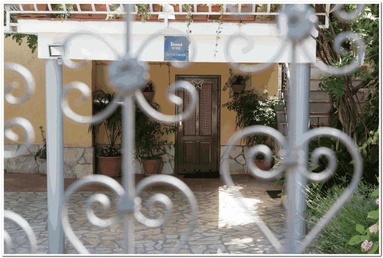 Apartments Villa Zara ロヴラン エクステリア 写真